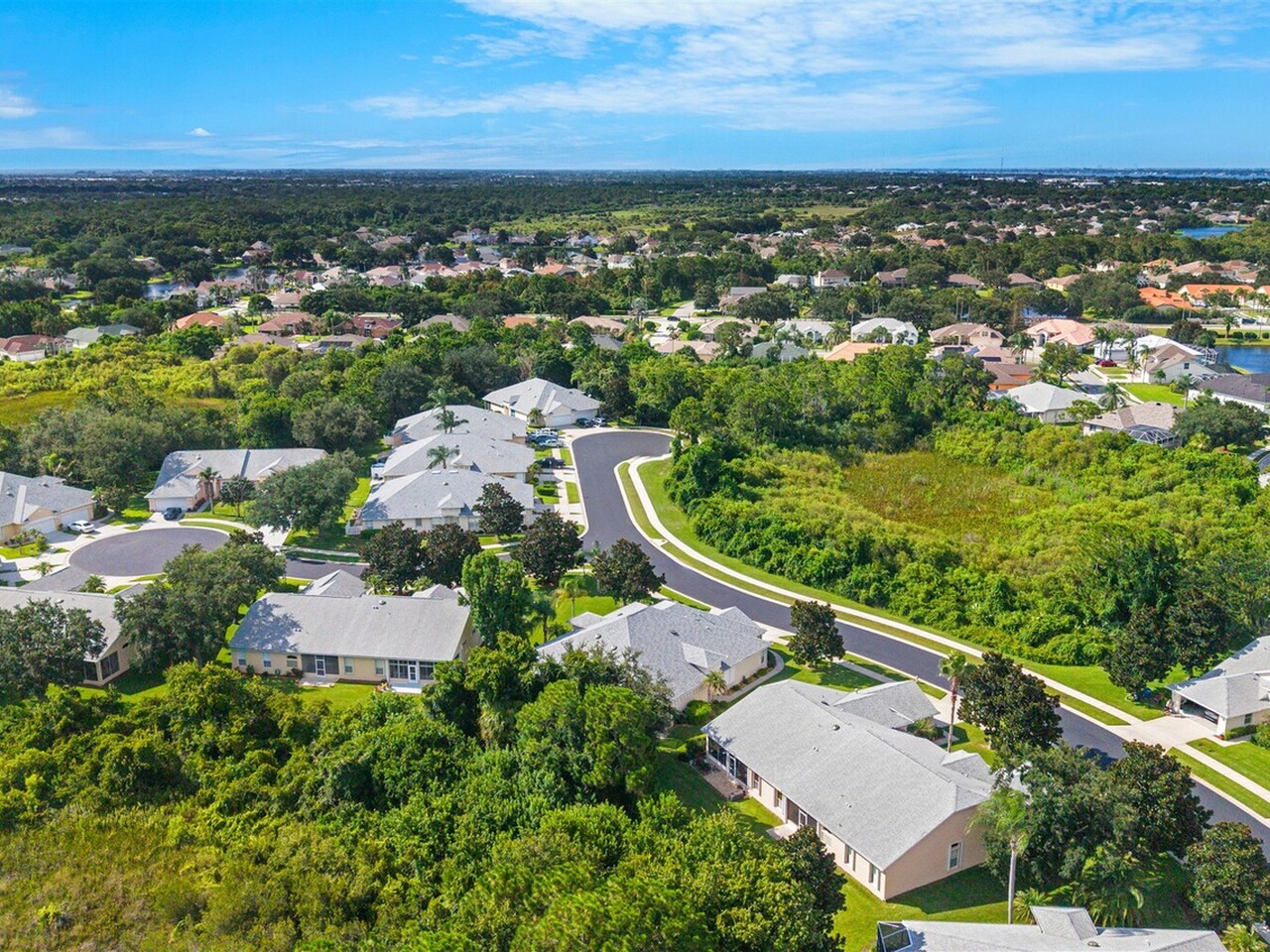 1331 Royal Fern Drive