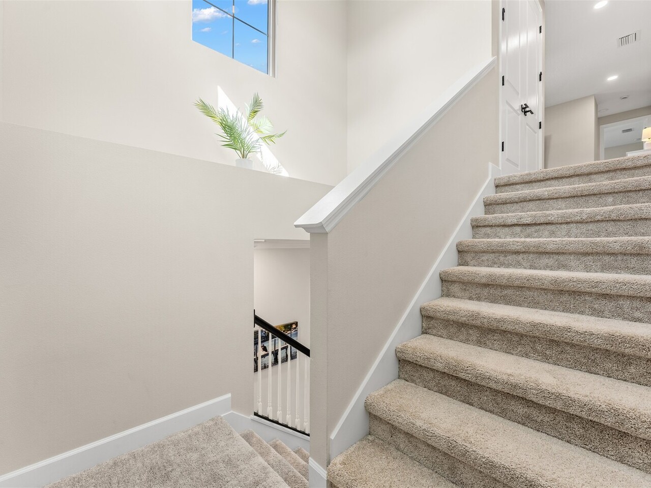 2714 Pelagornis Drive